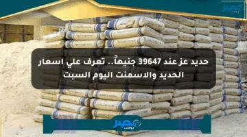 حديد عز عند 39647 جنيهاً.. تعرف على أسعار الحديد والأسمنت اليوم السبت